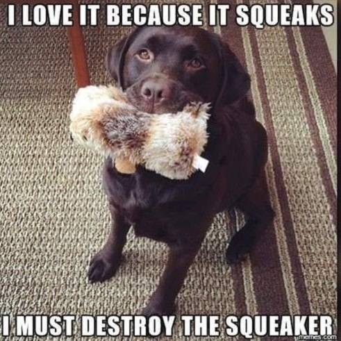 dog must destroy squeakerr.jpg